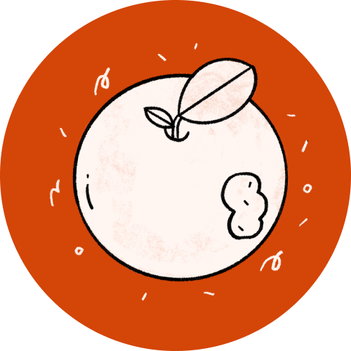 Valentine Day Reading Comprehension Differentiated