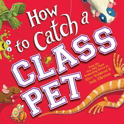 How to Catch a Class Pet by Alice Walstead & Andy Elkerton Activity Kit
