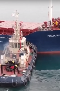 ukraine grain shipments resume