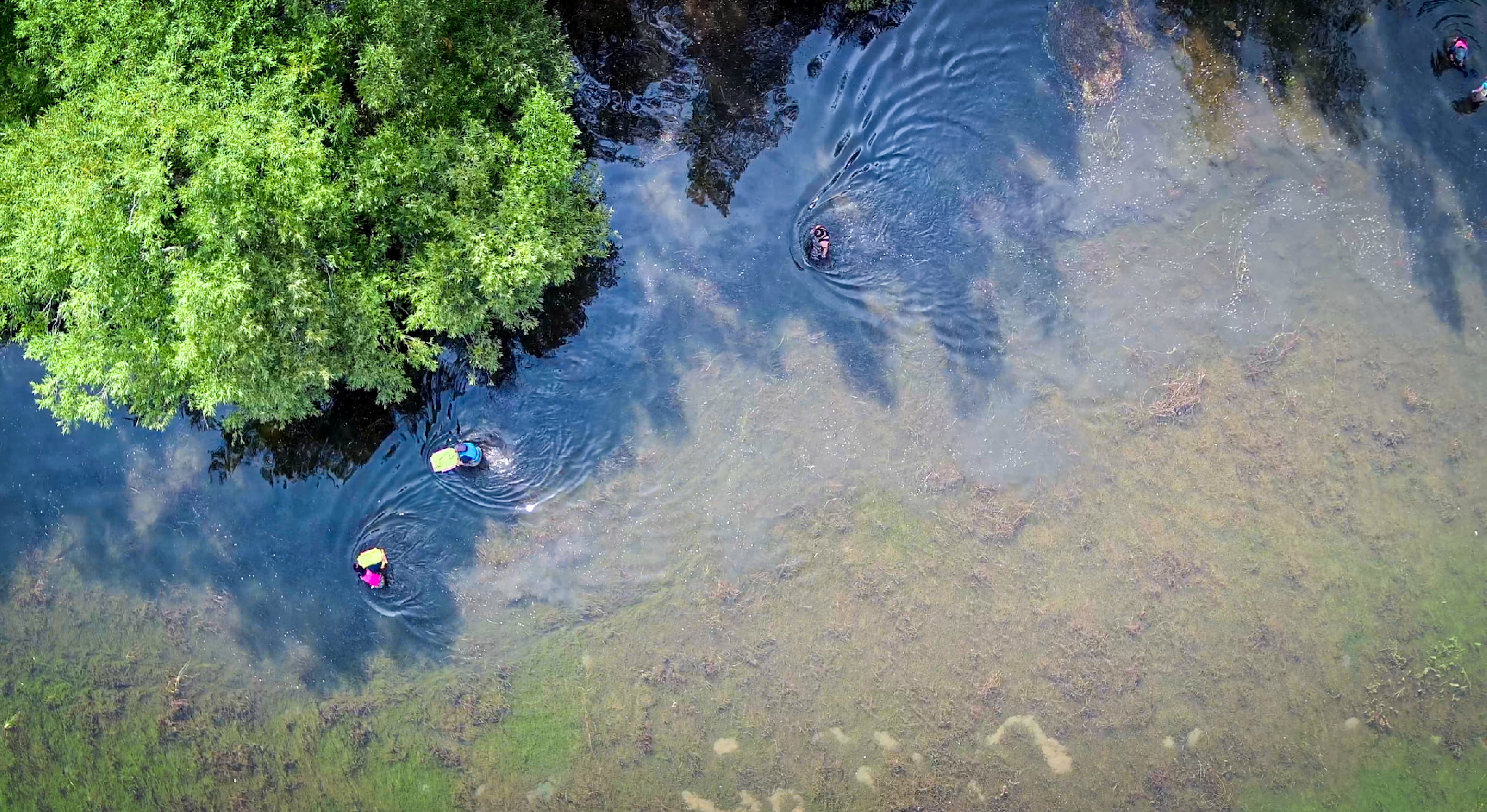 Become a citizen scientist - monitor changes in the environment