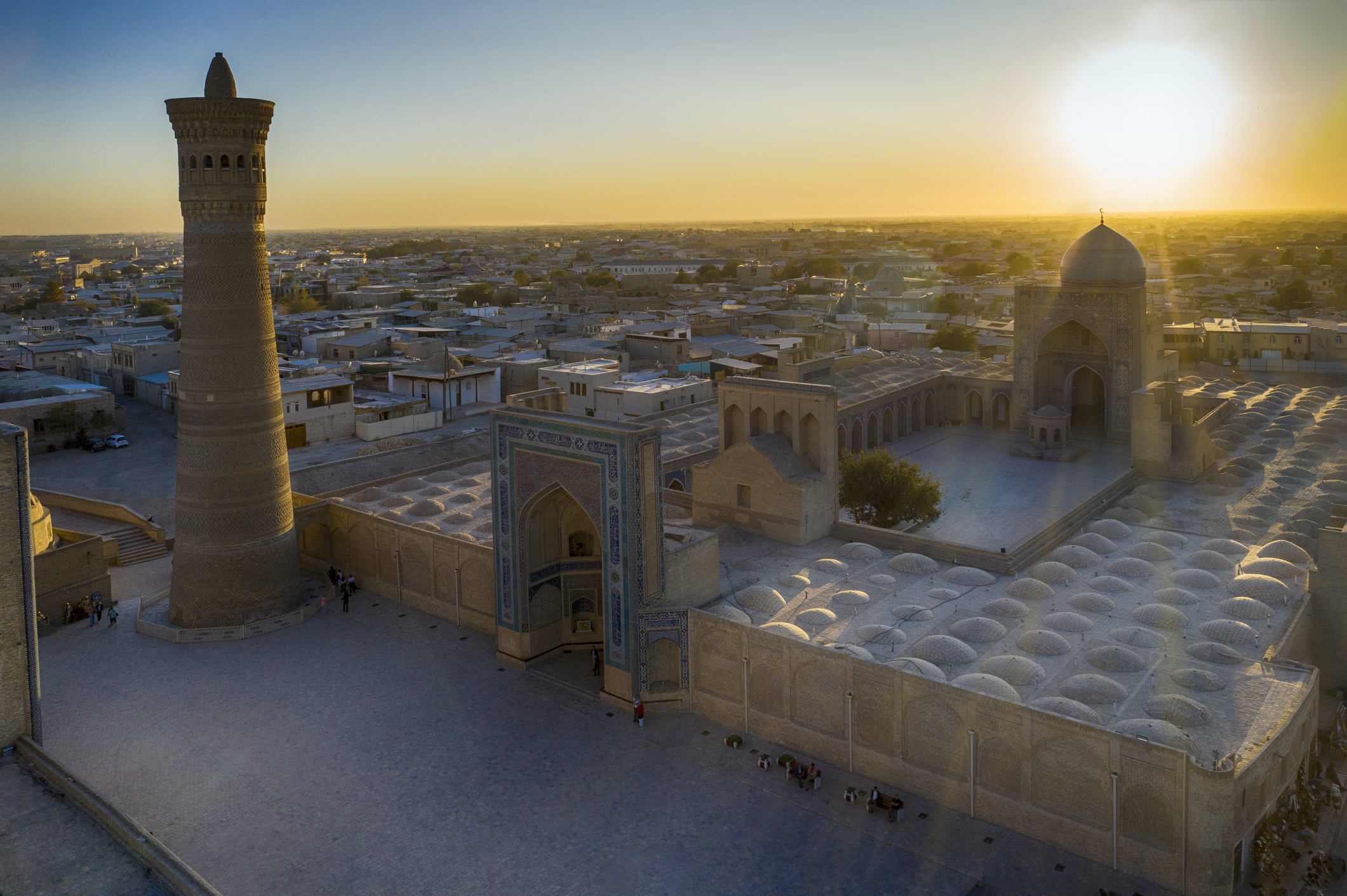 Global History Through "Mongol"