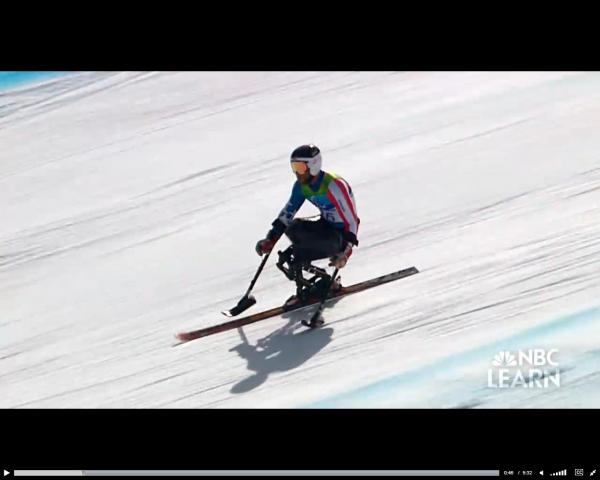 Stability & Vibration Damping in Alpine Skiing