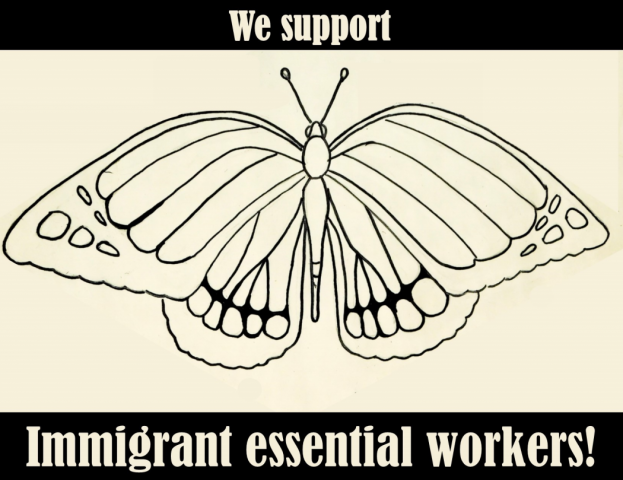 Drawing Support: Activities for Children to Support Immigrants and Essential Workers
