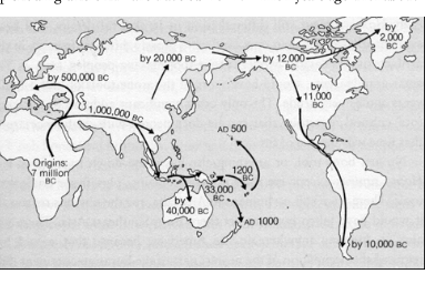 Neolithic Revolution Lesson 2